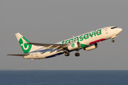 Transavia Boeing 737-8K2 (PH-HZL) at  Barcelona - El Prat, Spain