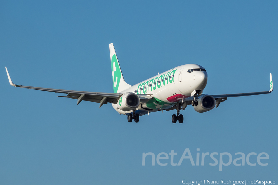 Transavia Boeing 737-8K2 (PH-HZN) | Photo 220063