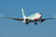 Transavia Boeing 737-8K2 (PH-HZN) at  Lanzarote - Arrecife, Spain