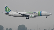 Transavia Boeing 737-8K2 (PH-HZN) at  Amsterdam - Schiphol, Netherlands