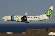 Transavia Boeing 737-8K2 (PH-HZN) at  Gran Canaria, Spain