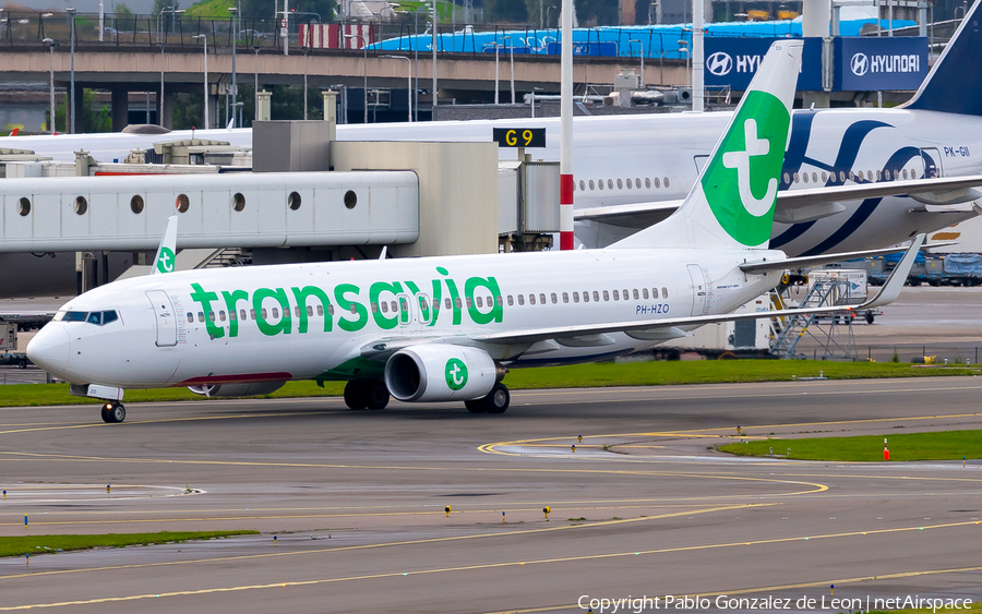 Transavia Boeing 737-8K2 (PH-HZO) | Photo 348466
