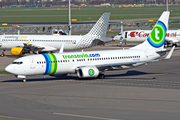 Transavia Boeing 737-8K2 (PH-HZO) at  Amsterdam - Schiphol, Netherlands