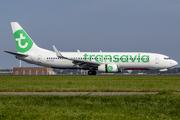 Transavia Boeing 737-8K2 (PH-HZO) at  Amsterdam - Schiphol, Netherlands