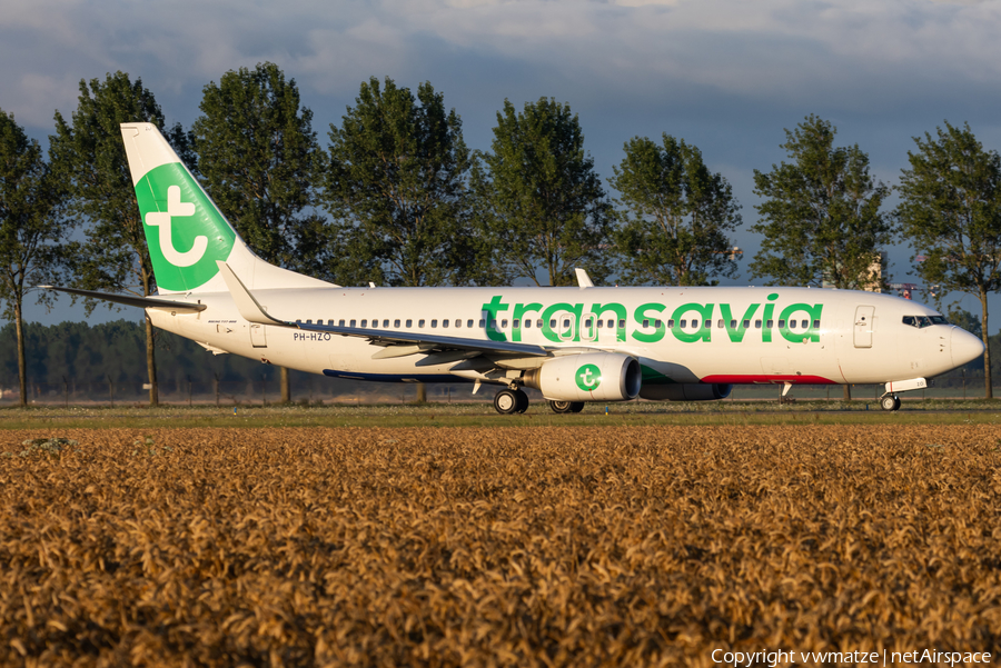 Transavia Boeing 737-8K2 (PH-HZO) | Photo 581528