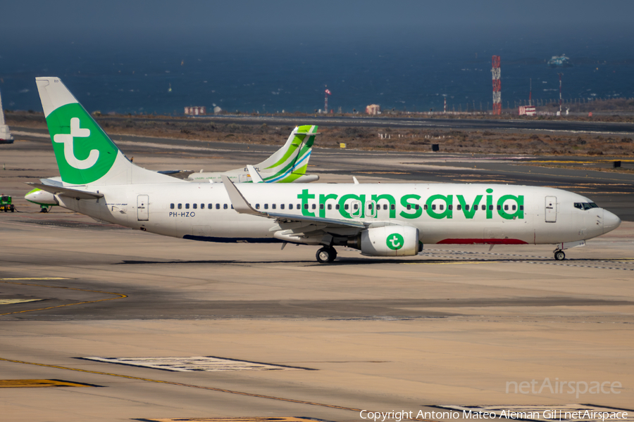 Transavia Boeing 737-8K2 (PH-HZO) | Photo 637863