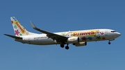 Transavia Boeing 737-8K2 (PH-HZW) at  Amsterdam - Schiphol, Netherlands