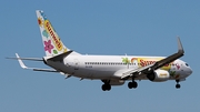 Transavia Boeing 737-8K2 (PH-HZW) at  Amsterdam - Schiphol, Netherlands