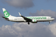 Transavia Boeing 737-8K2 (PH-HZW) at  Amsterdam - Schiphol, Netherlands