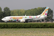 Transavia Boeing 737-8K2 (PH-HZX) at  Amsterdam - Schiphol, Netherlands