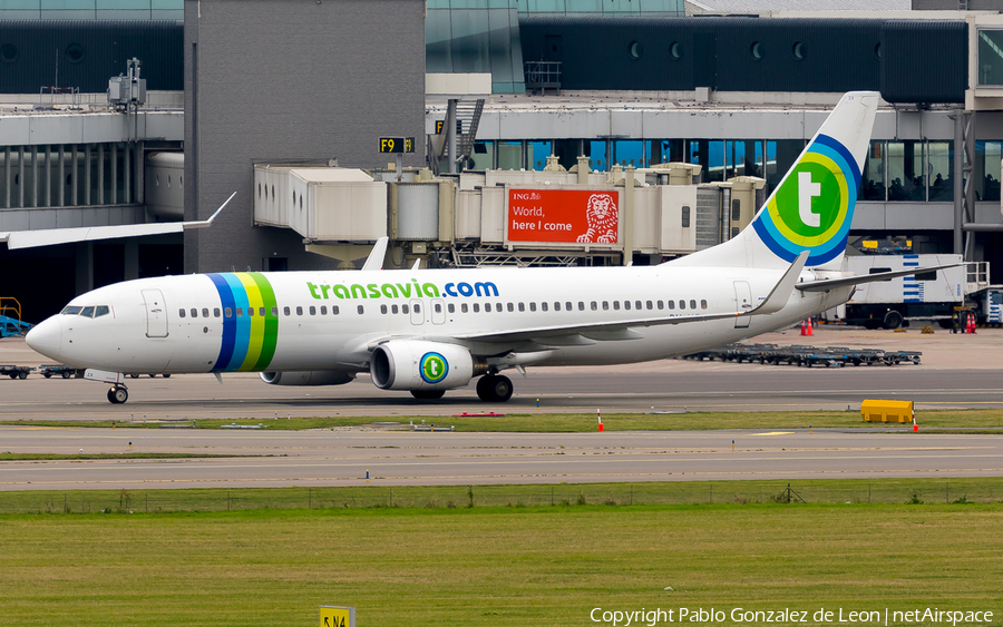 Transavia Boeing 737-8K2 (PH-HZX) | Photo 350293