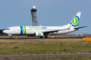 Transavia Boeing 737-8K2 (PH-HZX) at  Amsterdam - Schiphol, Netherlands