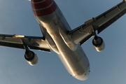 Martinair Cargo McDonnell Douglas MD-11CF (PH-MCS) at  Amsterdam - Schiphol, Netherlands