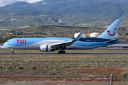 TUI Airlines Netherlands Boeing 767-304(ER) (PH-OYI) at  Tenerife Sur - Reina Sofia, Spain