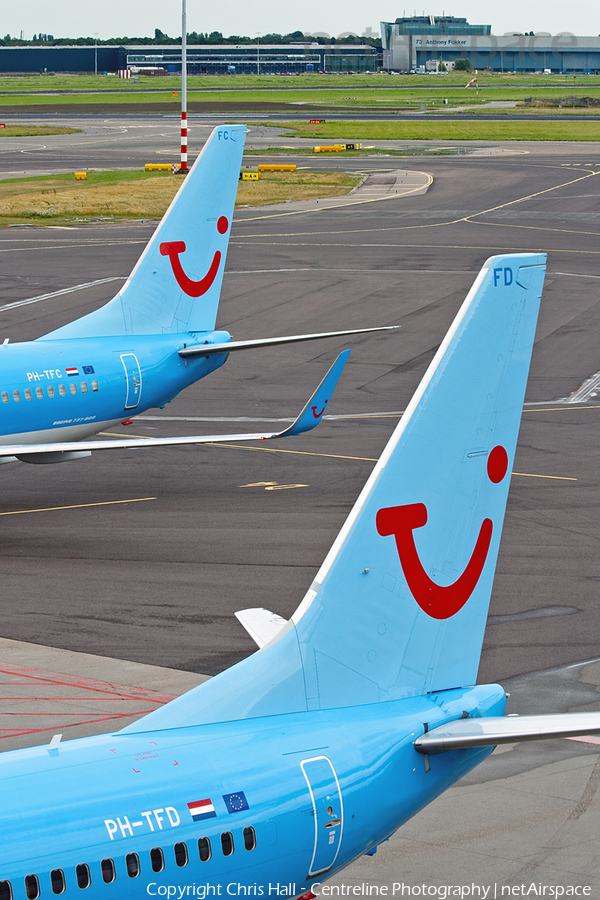 Arkefly Boeing 737-8K5 (PH-TFD) | Photo 30950