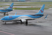 Arkefly Boeing 737-8K5 (PH-TFD) at  Amsterdam - Schiphol, Netherlands