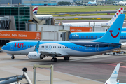 TUI Airlines Netherlands Boeing 737-8K5 (PH-TFD) at  Amsterdam - Schiphol, Netherlands