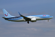 Arkefly Boeing 737-86N (PH-TFF) at  Amsterdam - Schiphol, Netherlands