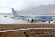 TUI Airlines Netherlands Boeing 787-8 Dreamliner (PH-TFJ) at  Tenerife Sur - Reina Sofia, Spain