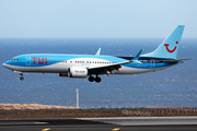 TUI Airlines Netherlands Boeing 737-8 MAX (PH-TFN) at  Tenerife Sur - Reina Sofia, Spain