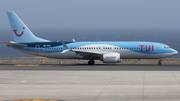 TUI Airlines Netherlands Boeing 737-8 MAX (PH-TFP) at  Tenerife Sur - Reina Sofia, Spain