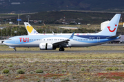 TUI Airlines Netherlands Boeing 737-8 MAX (PH-TFU) at  Tenerife Sur - Reina Sofia, Spain