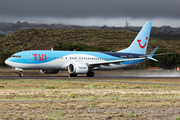 TUI Airlines Netherlands Boeing 737-8 MAX (PH-TFU) at  Tenerife Sur - Reina Sofia, Spain