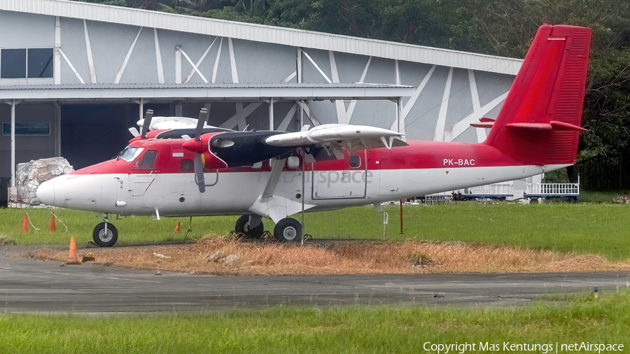 Air Born de Havilland Canada DHC-6-300 Twin Otter (PK-BAC) | Photo 533134
