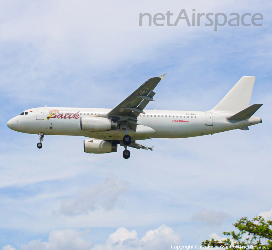 Batik Air Airbus A320-233 (PK-BKG) | Photo 578605