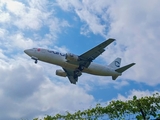 Cardig Air Boeing 737-301(SF) (PK-DJS) at  Balikpapan Sepinggan - International, Indonesia