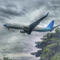 Garuda Indonesia Boeing 737-81D (PK-GFQ) at  Balikpapan Sepinggan - International, Indonesia