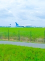 Garuda Indonesia Boeing 737-8U3 (PK-GNC) at  Medan - Kualanamu International, Indonesia