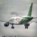 Citilink Garuda Indonesia Airbus A320-214 (PK-GQJ) at  Balikpapan Sepinggan - International, Indonesia