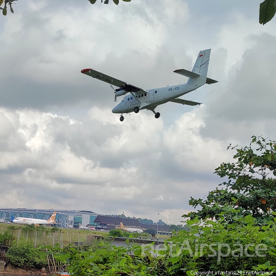 Pegasus Air Services de Havilland Canada DHC-6-400 Twin Otter (PK-ICE) | Photo 599859