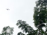 Lion Air Boeing 737-9GP(ER) (PK-LFJ) at  Banda Aceh - Sultan Iskandar Muda International, Indonesia