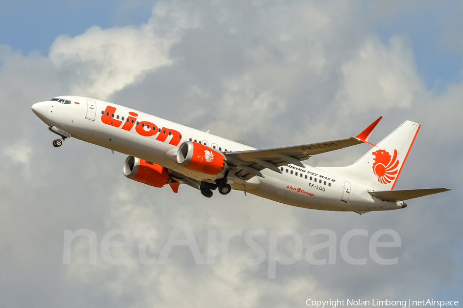Lion Air Boeing 737-8 MAX (PK-LQG) | Photo 424078