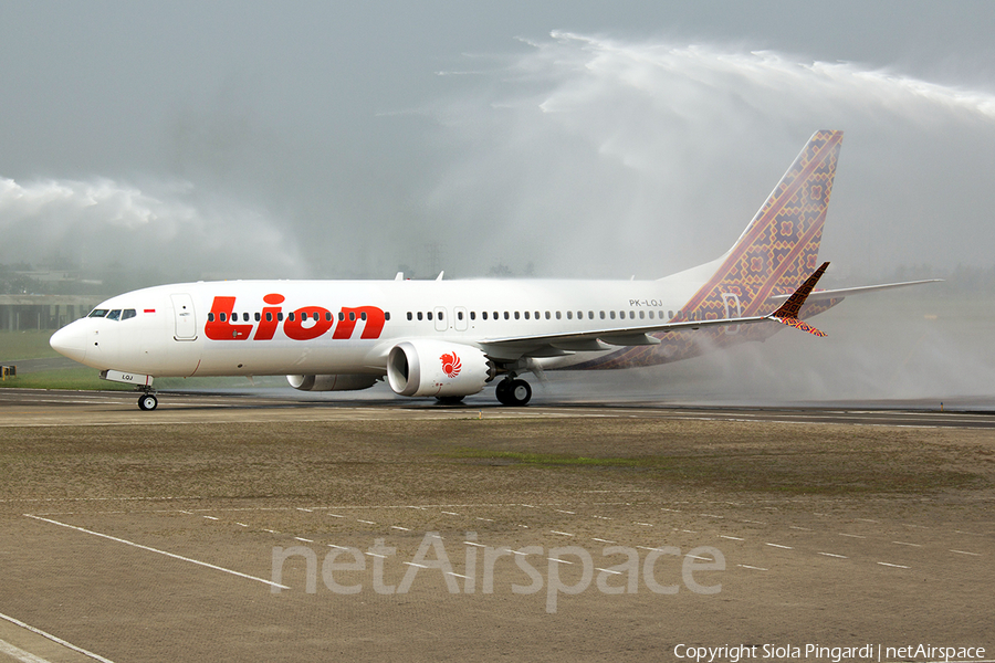 Lion Air Boeing 737-8 MAX (PK-LQJ) | Photo 357566