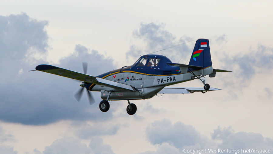 Pelita Air Service Air Tractor AT-802 (PK-PAA) | Photo 469035