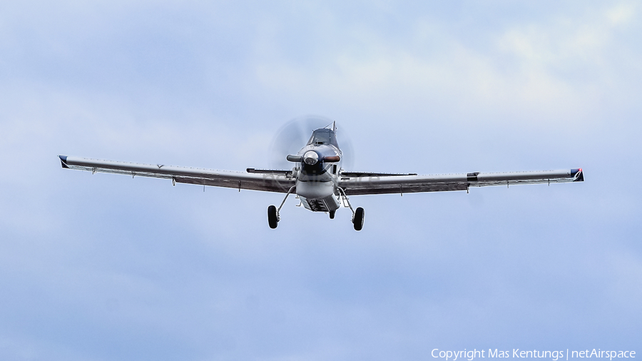 Pelita Air Service Air Tractor AT-802 (PK-PAA) | Photo 549324