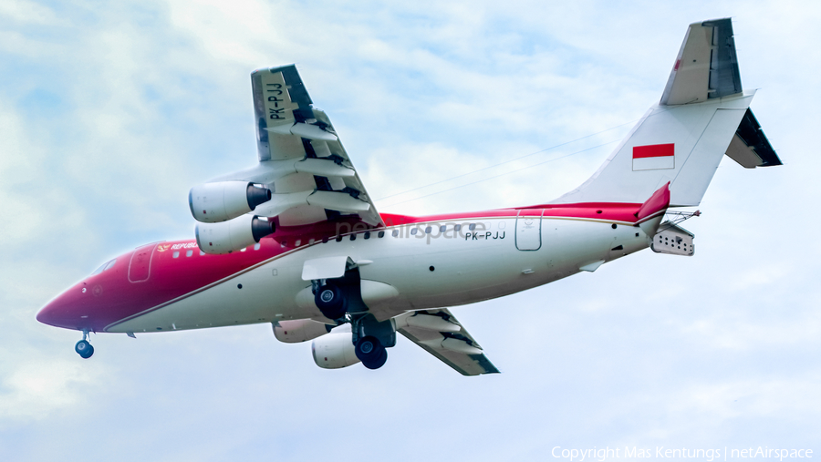 Indonesian Government BAe Systems BAe-146-RJ85 (PK-PJJ) | Photo 549982