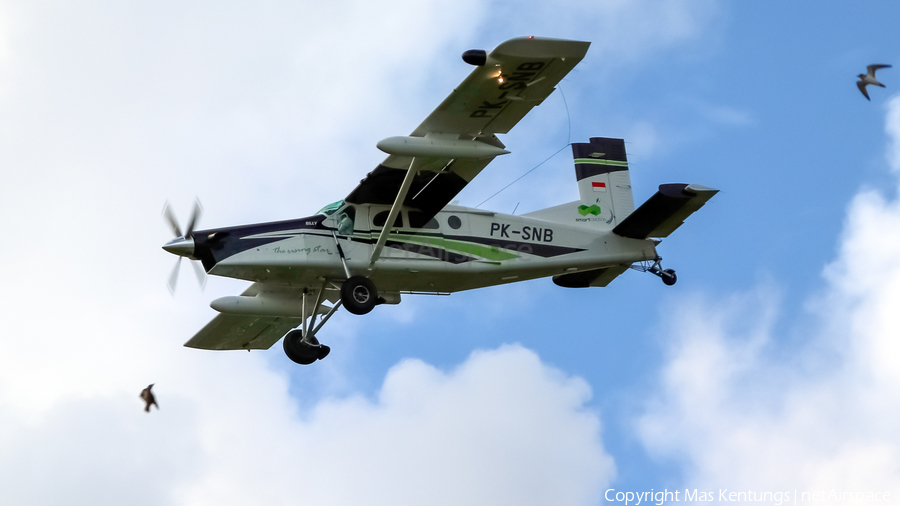 Smart Aviation (Indonesia) Pilatus PC-6/B2-H4 Turbo Porter (PK-SNB) | Photo 469161