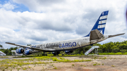 BETA Cargo McDonnell Douglas DC-8-73(F) (PP-BEL) at  Sao Paulo - Guarulhos - Andre Franco Montoro (Cumbica), Brazil