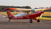 Aeroclube do Paraná Aero Boero AB-115 (PP-FKW) at  Curitiba - Bacacheri, Brazil