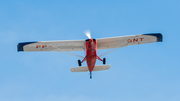 Aeroclube do Paraná Aero Boero AB-115 (PP-GNT) at  Curitiba - Bacacheri, Brazil