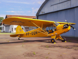 (Private) Piper J3L-65 Cub (PP-GQN) at  Joinville - Lauro Carneiro de Loyola, Brazil