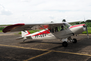 (Private) Neiva P-56C Paulistinha (PP-GSV) at  Campinas - Campo dos Amarais–Prefeito Francisco Amaral, Brazil