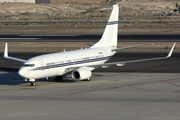 (Private) Boeing 737-7BC(BBJ) (PR-BBS) at  Tenerife Sur - Reina Sofia, Spain