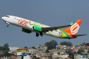 GOL Linhas Aéreas Boeing 737-8HX (PR-GUP) at  Sao Paulo - Guarulhos - Andre Franco Montoro (Cumbica), Brazil