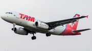 LATAM Airlines Brasil Airbus A319-132 (PR-MAL) at  Curitiba - Afonso Pena International, Brazil