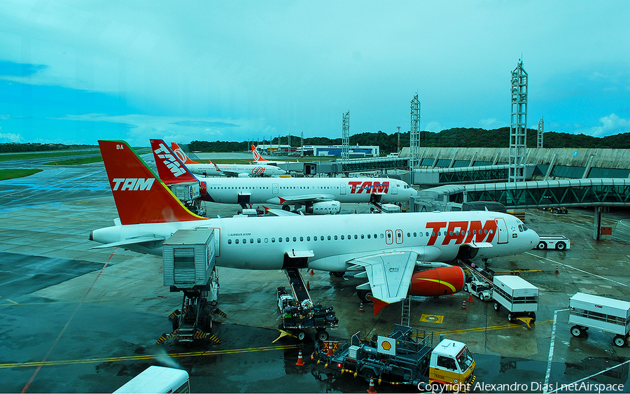 TAM Brazilian Airlines Airbus A320-232 (PR-MBA) | Photo 506970